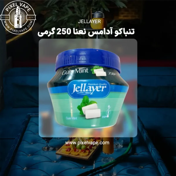 JELLAYER TOBACCO GUM MINT250g