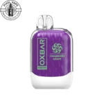 Oxbar Blueberry Grape 8000 Puffs Disposable Pod، Mixed Berry & Grape Flavor، Rechargeable Vape، پاد بلوبری انگور اوکسبار ،پاد یکبار مصرف 8000 پاف ذغال اخته انگور اوکسبار