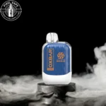 Oxbar Bluebery Razberry 8000 Puf Disposble Pod، Rechargable، پاد بلوبری تمشک اکس بار