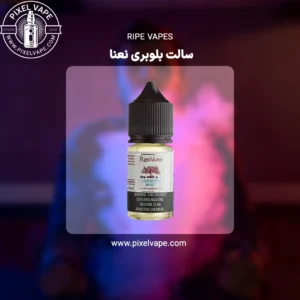 RIPE VAPES Blueberry Mint Saltnic، Blueberry Mint E-liquid، Salt Nicotine Vape Juice، Premium Blueberry Mint Flavor، High Nicotine Salt Liquid، Refreshing Blueberry Mint Vape Juice، Imported Vape Juice، Professional E-liquid، Quality Vape Juice، Tasty E-liquid، Original Vape Juice، Authentic Salt Nicotine، Imported E-liquid، Nicotine Salt for Pod، Best Blueberry Mint Vape Juice