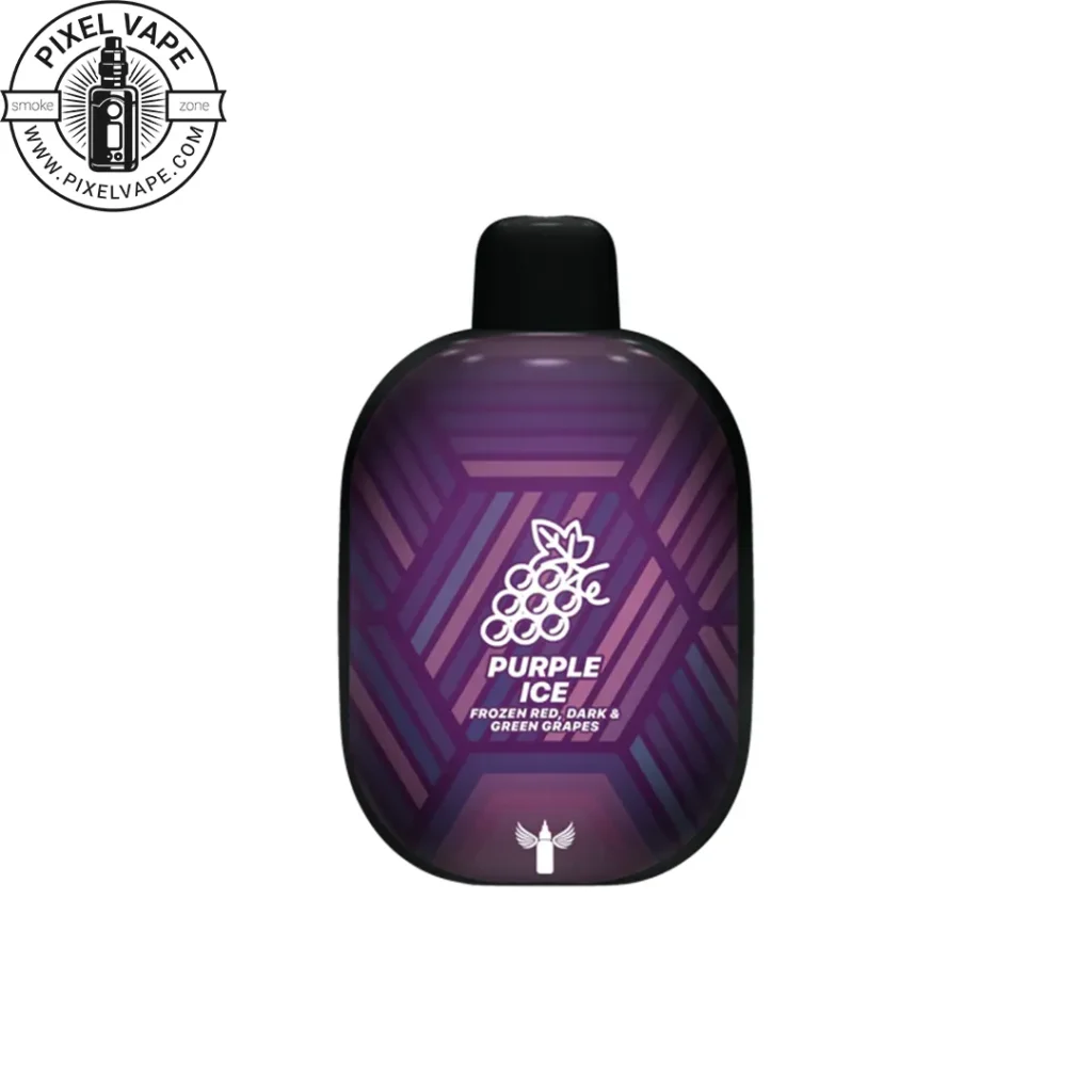 Dr.Vapes 10000 Puffs Purple Ice Pod - پاد یکبار مصرف دکتر ویپز 10000 پاف پرپل آیس (قابل شارژ)