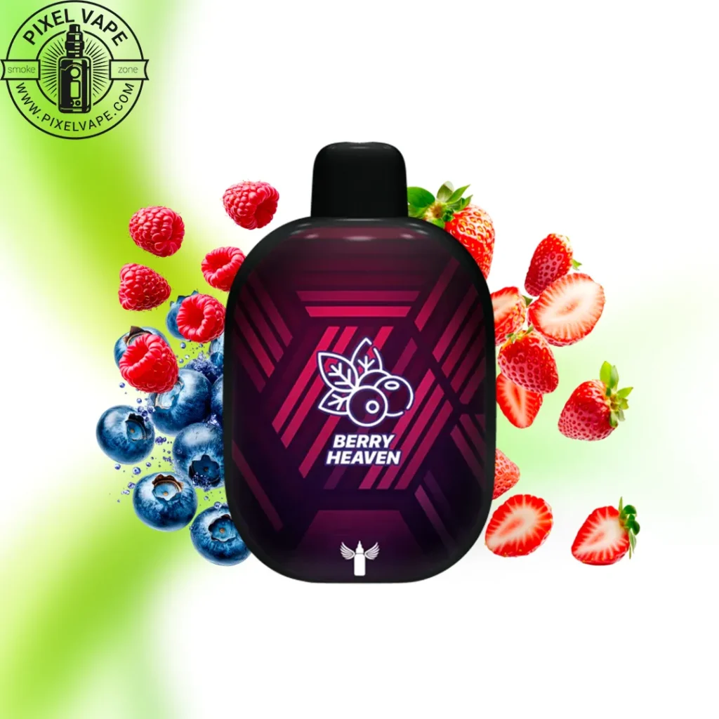 خرید پاد یکبار مصرف دکتر ویپز 10000 پاف بری هیون