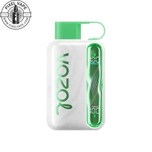 VOZOL 40000 Puffs Watermelon BBG Pod - پاد یکبار مصرف 40000 پاف وزول آدامس بادکنکی هندوانه