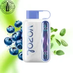 خرید پاد یکبار مصرف وزول 40000 پاف بلوبری نعنا