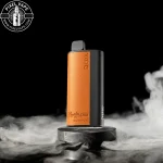 خرید Xcor Hawaii Pro 23000 Puffs Strawberry Ice