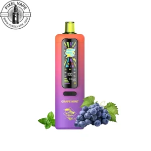 Tugboat 40000 Puffs Grape Mint Pod - پاد یکبار مصرف تاگ بوت 40000 پاف انگور نعنا (قابل شارژ)، پادیکبار مصرف تاگبوت 40000 پاف انگور نعنا